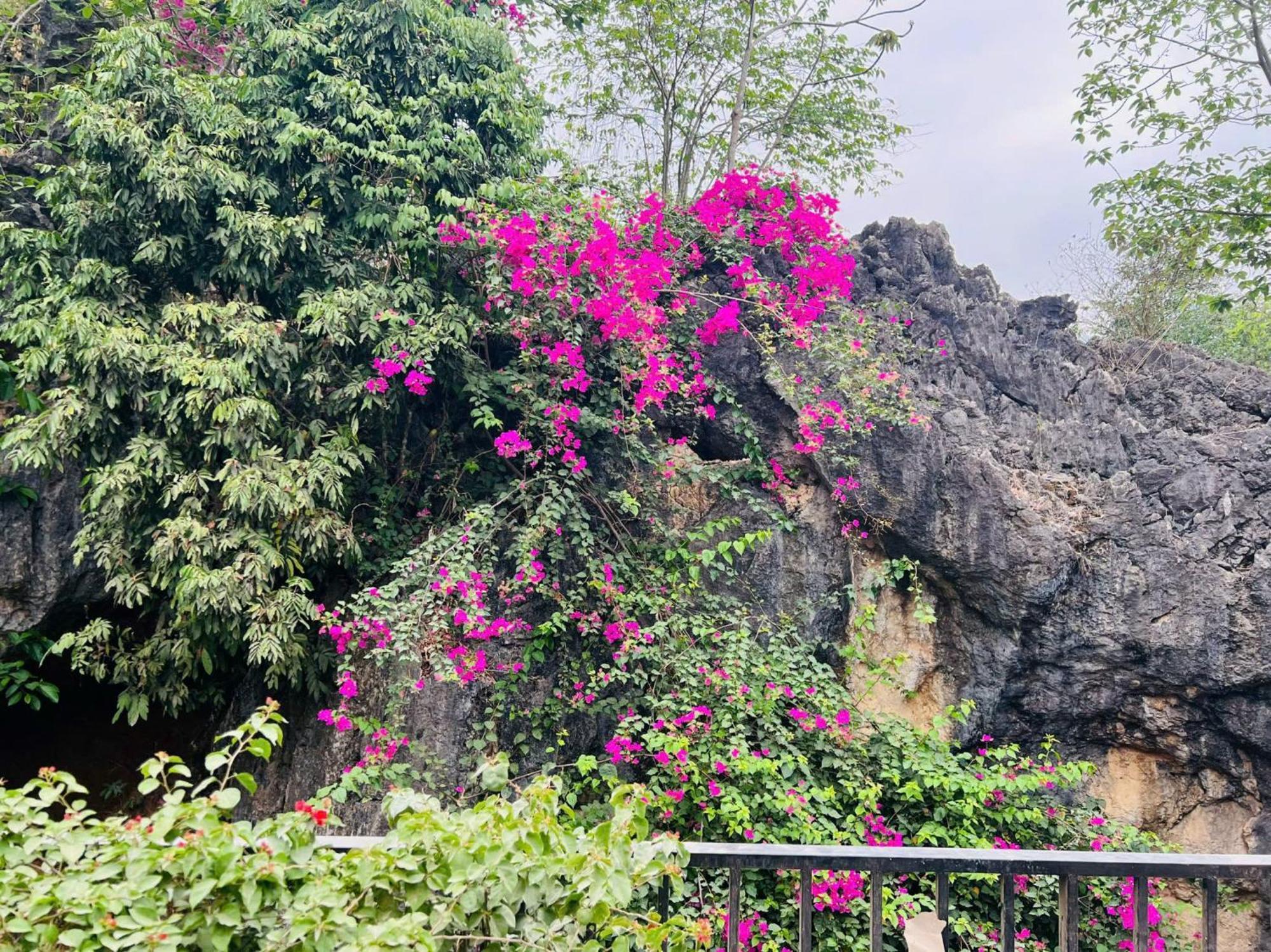 Mai Chau 4 Seasons Bungalow & Hotel Εξωτερικό φωτογραφία